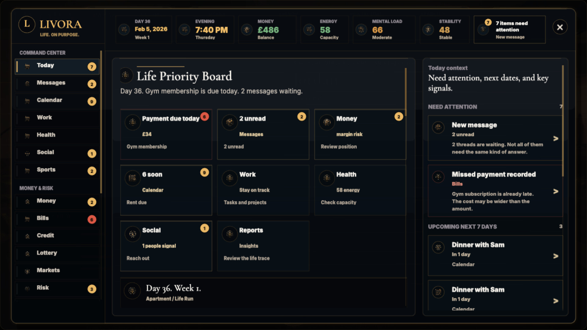 LIVORA screenshot 2
