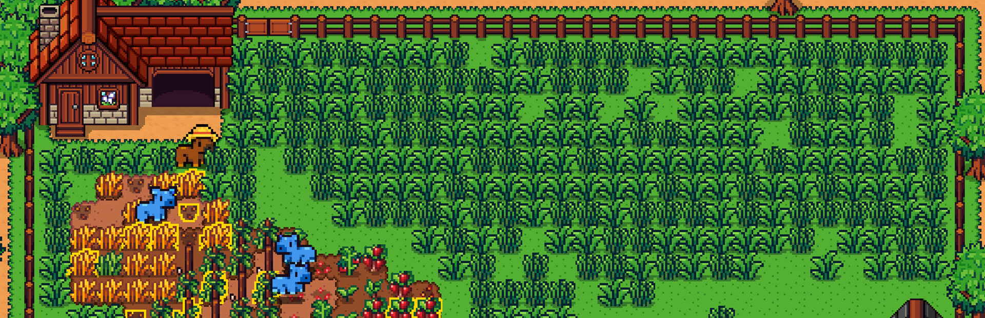 Capy Farm