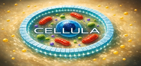 Cellula — Steam header
