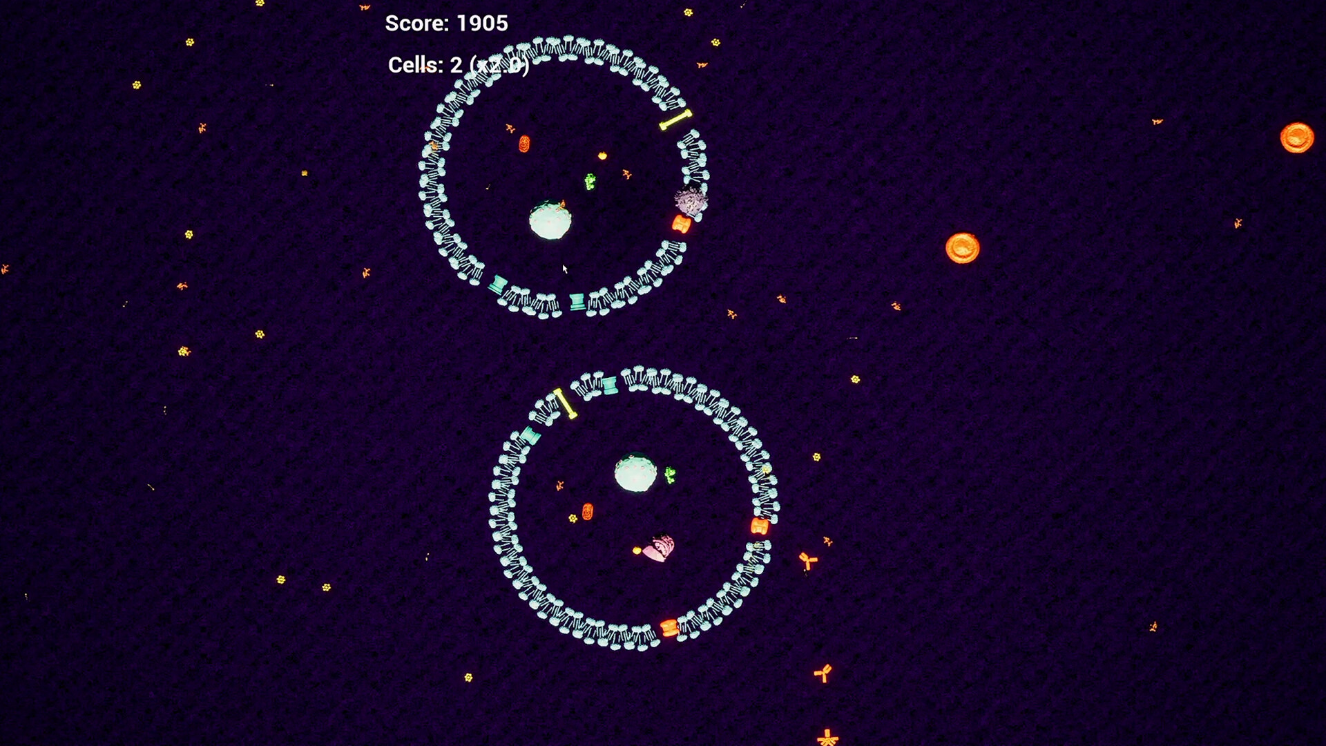 Cellula screenshot 2