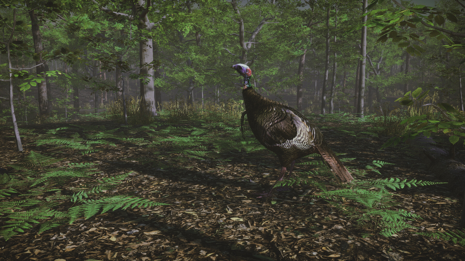 Pro Tukey Hunting screenshot 5