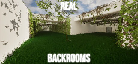 Real backrooms
