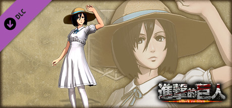 Attack on Titan - Mikasa Costume - Summer Festival