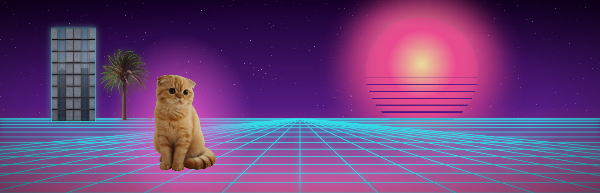 memu is space cat