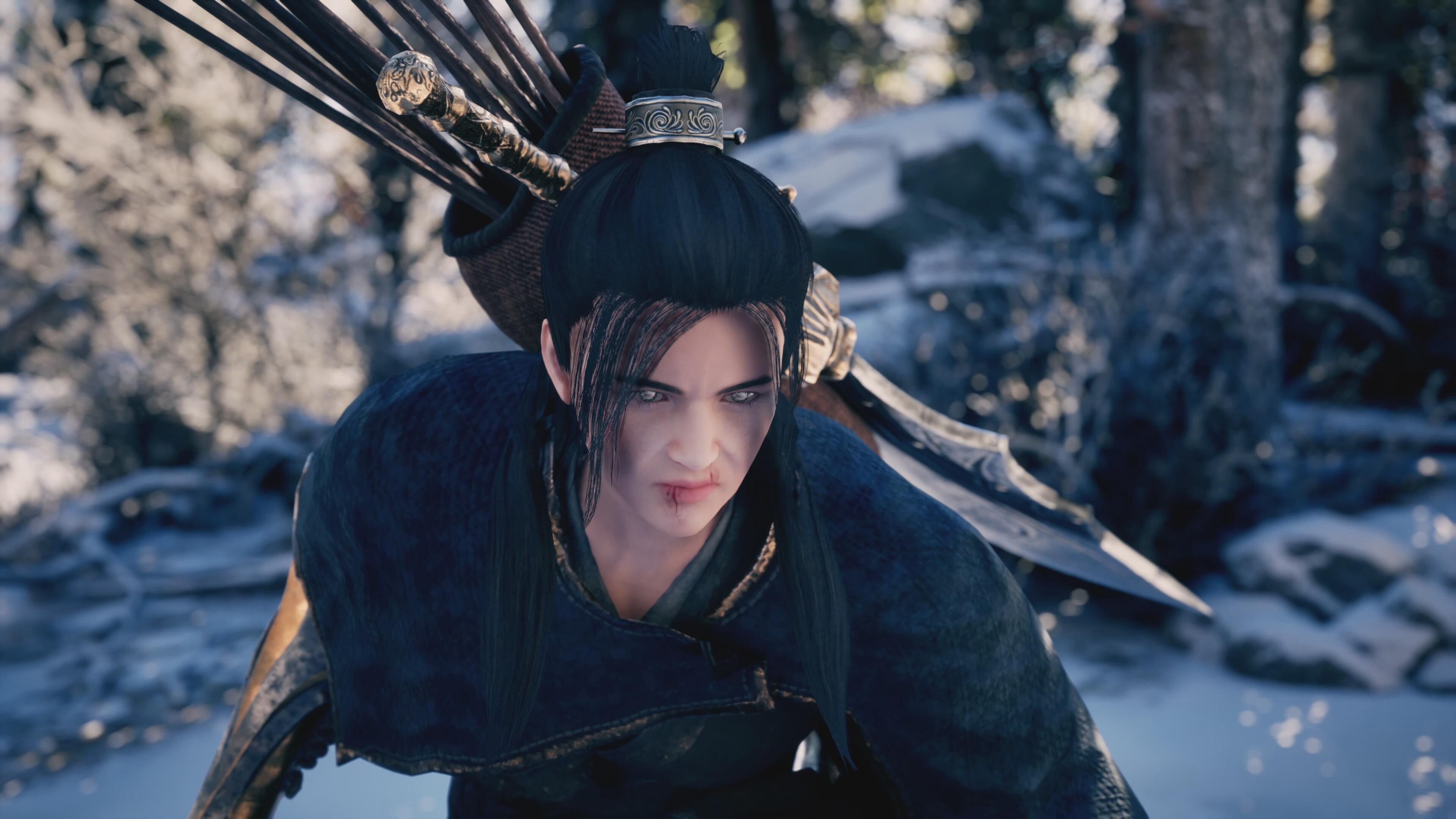 Wind Tiger Cloud Dragon screenshot 2