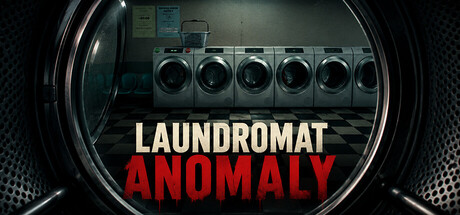 Laundromat Anomaly
