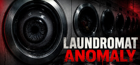 Laundromat Anomaly