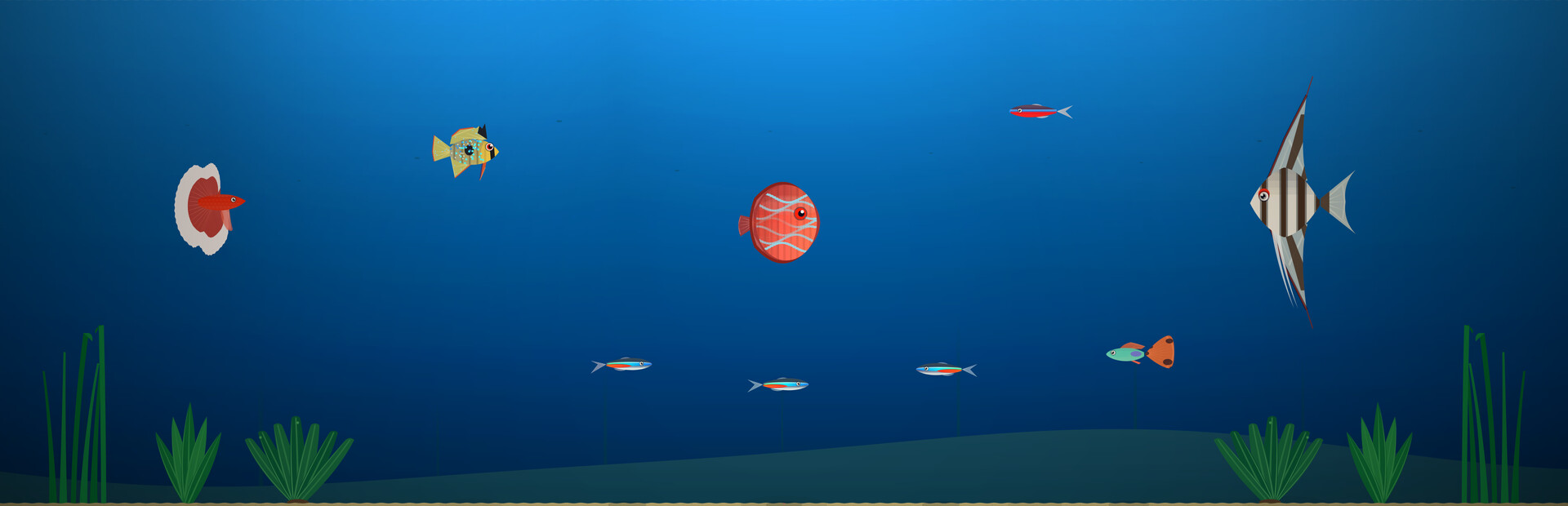 Nanoquarium