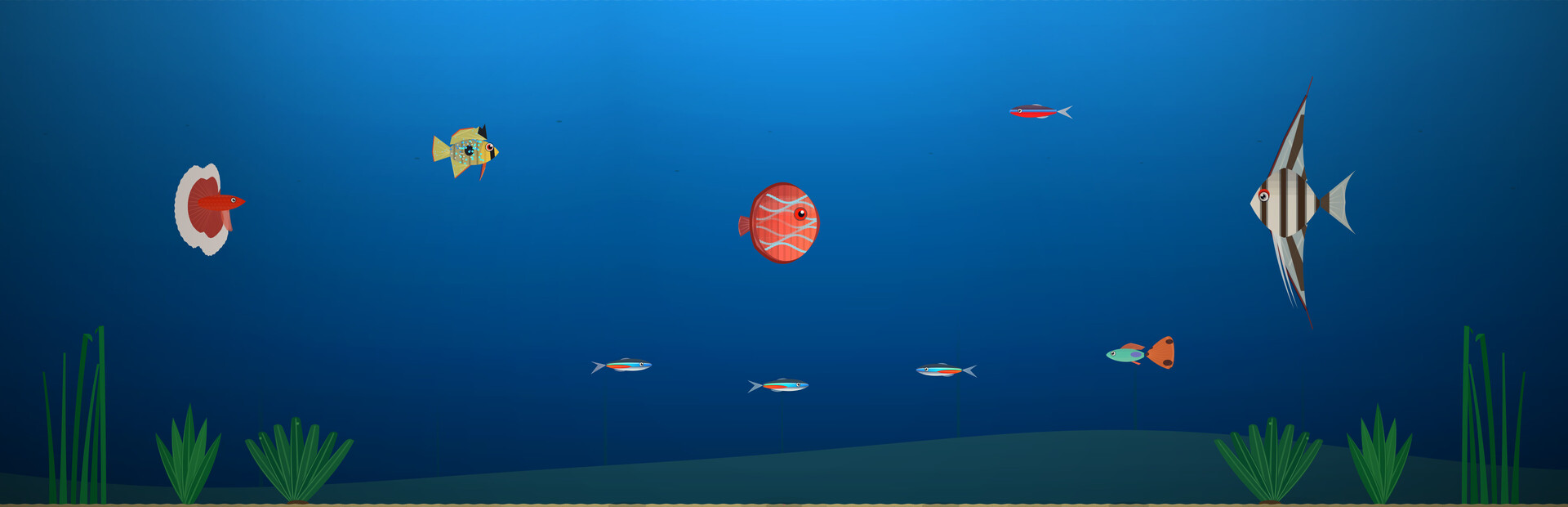 Nanoquarium Demo