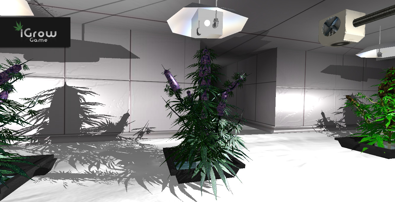 iGrow Game screenshot 6