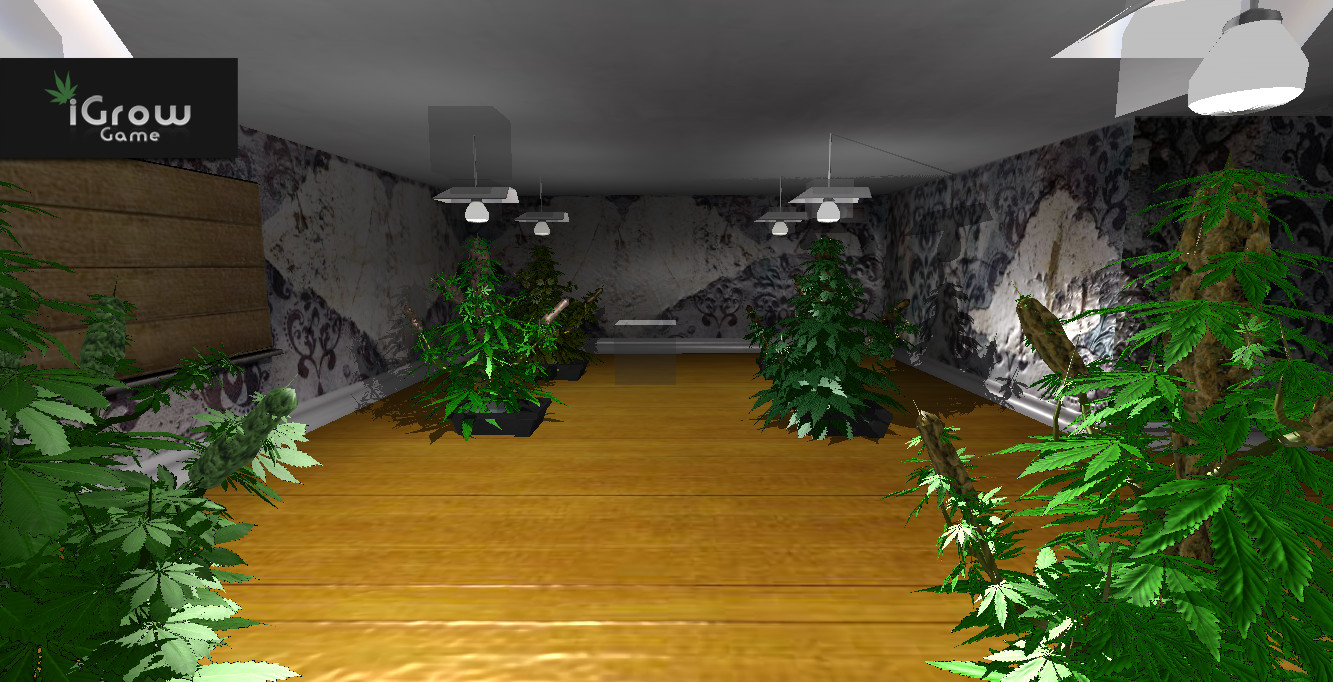 iGrow Game screenshot 3