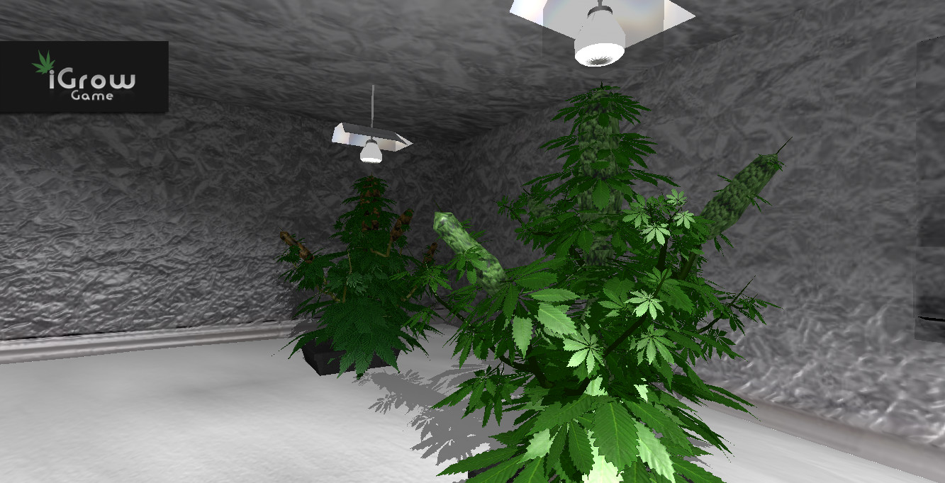 iGrow Game screenshot 1