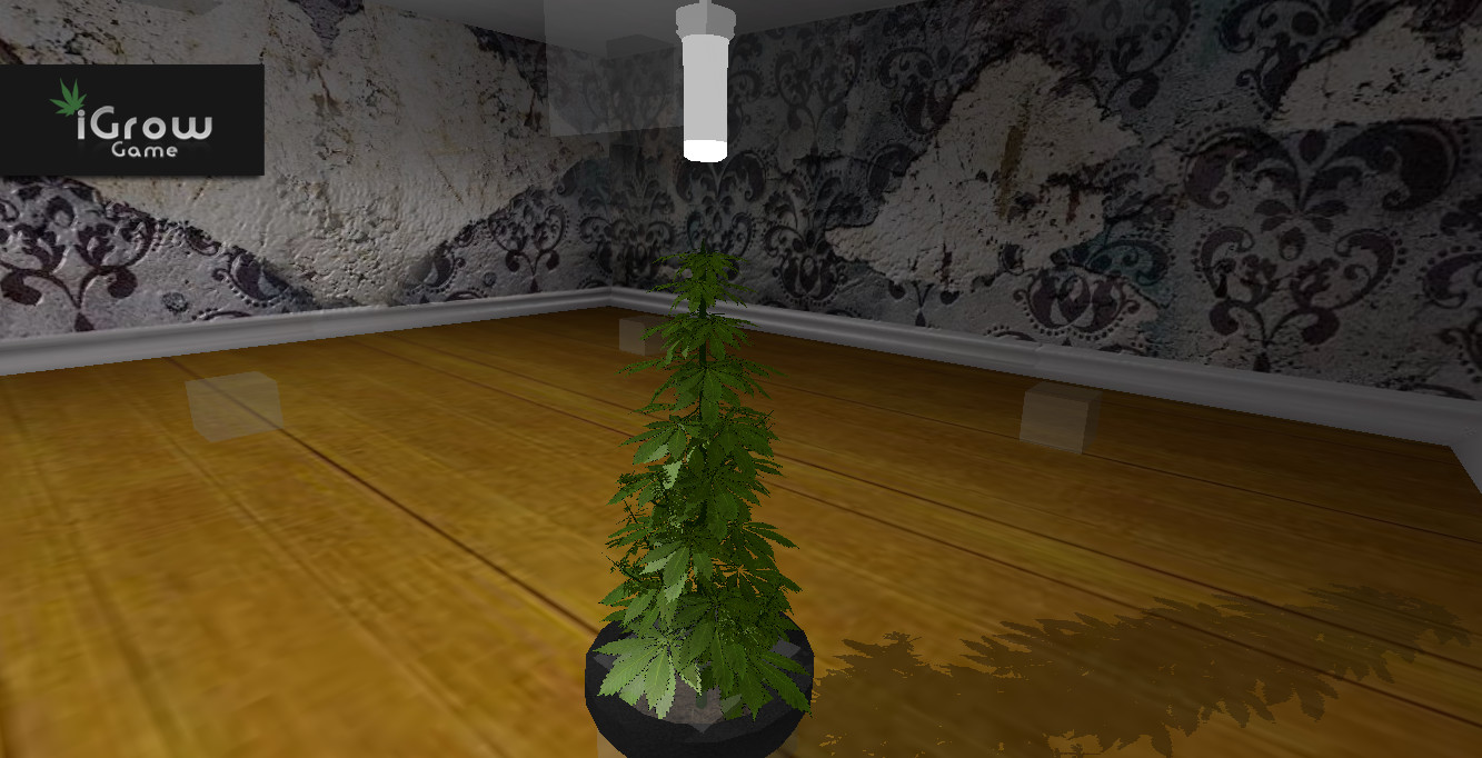 iGrow Game screenshot 8