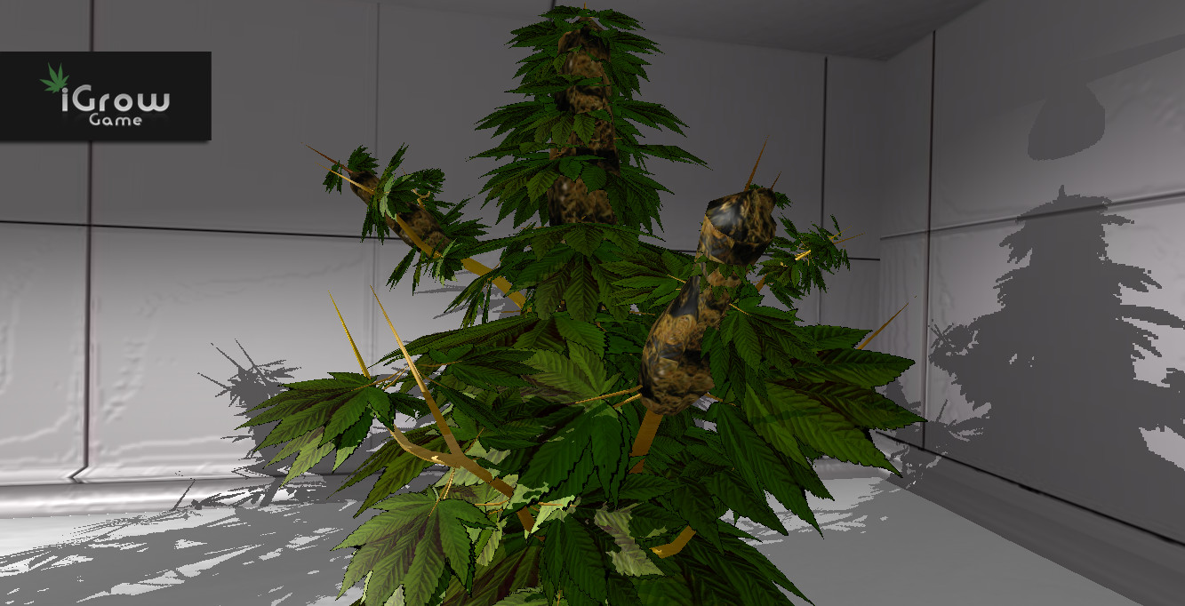 iGrow Game screenshot 5