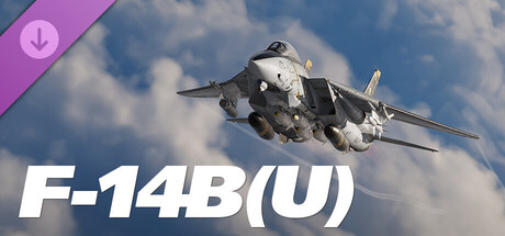 DCS: F-14B(U) by Heatblur Simulations