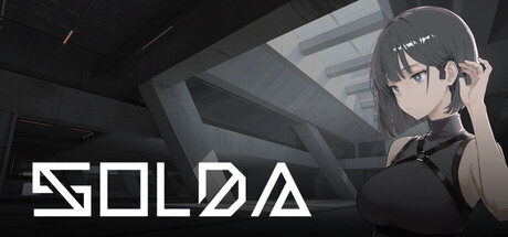 SOLDA — Steam header