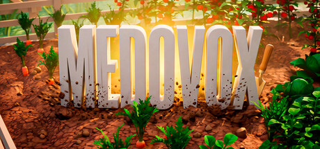 Medovox — Steam header