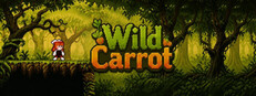 Wild Carrot