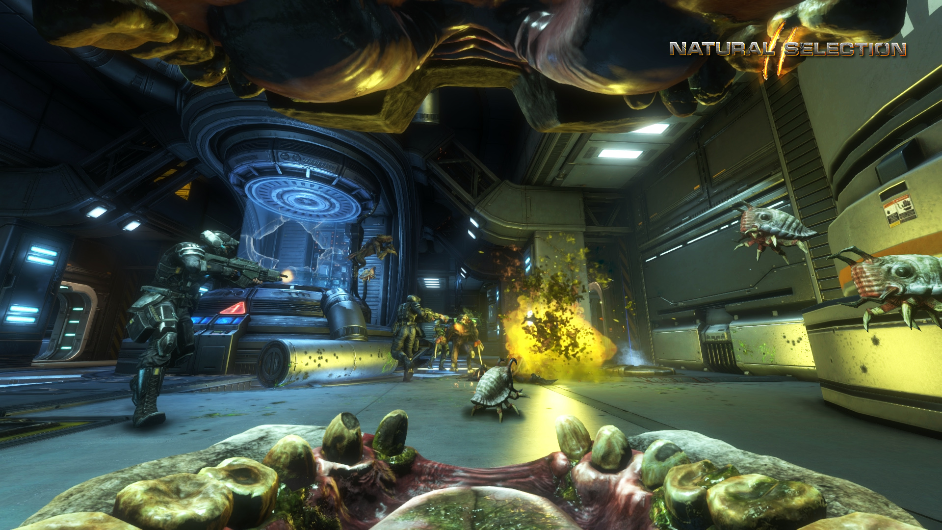 Natural Selection 2 screenshot 7