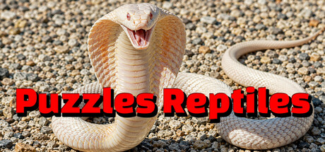 Puzzles Reptiles