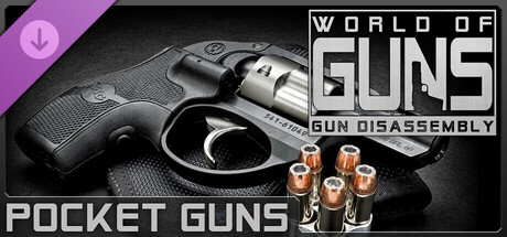 World of Guns: Pocket Guns Pack #1