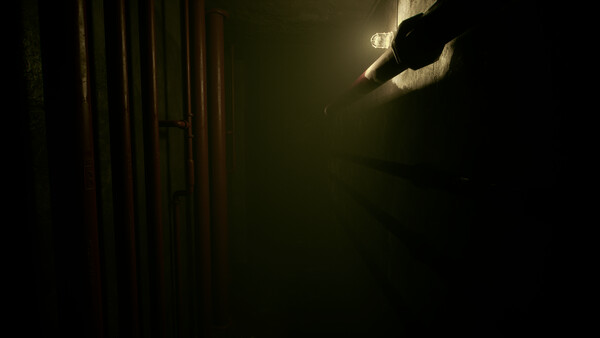 Echoes in Darkness screenshot 5