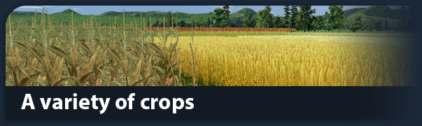 Farm Manager 2018 thumbnail