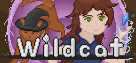 Wildcat — Steam header