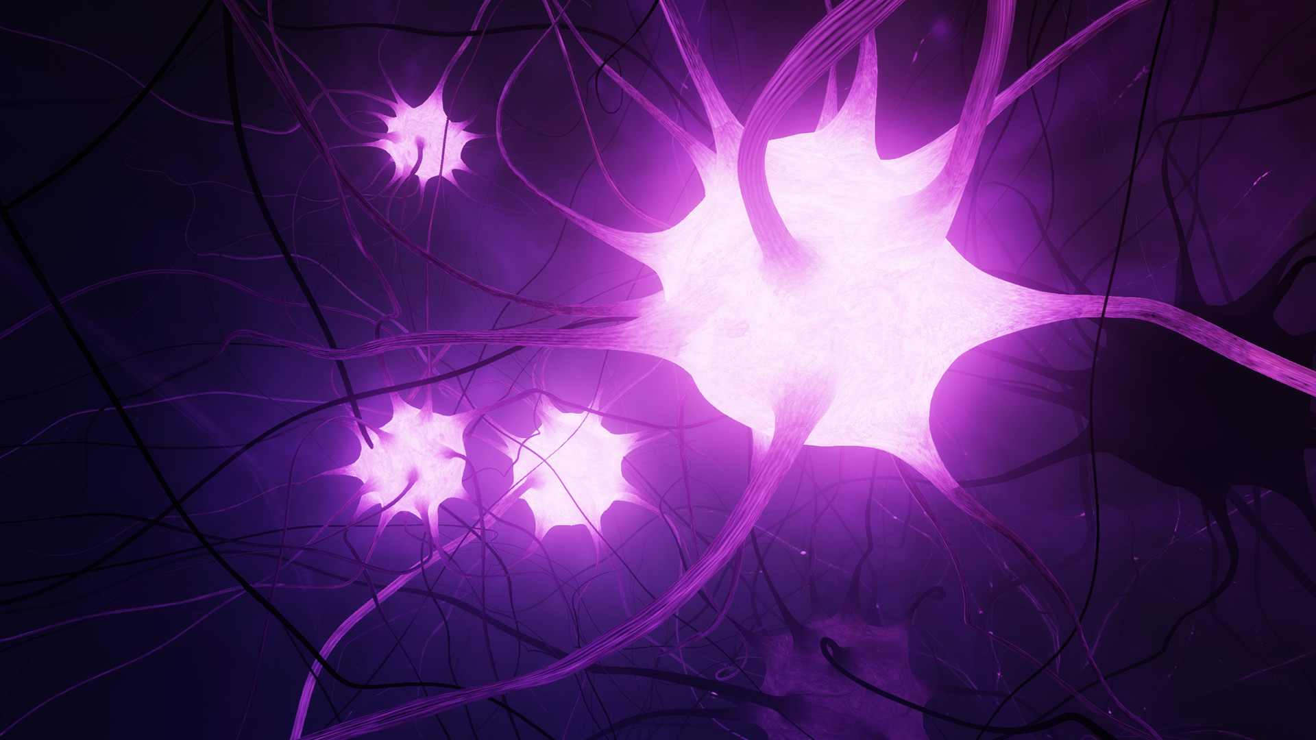 GE Neuro screenshot 5