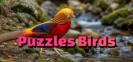 Puzzles Birds banner