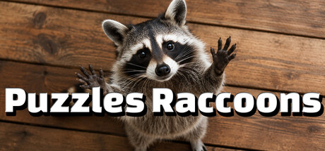 Puzzles Raccoons banner