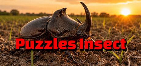Puzzles Insect