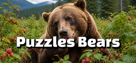 Puzzles Bears