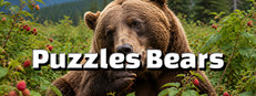 Puzzles Bears