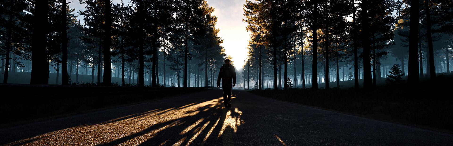 ALONE: NO SIGNAL