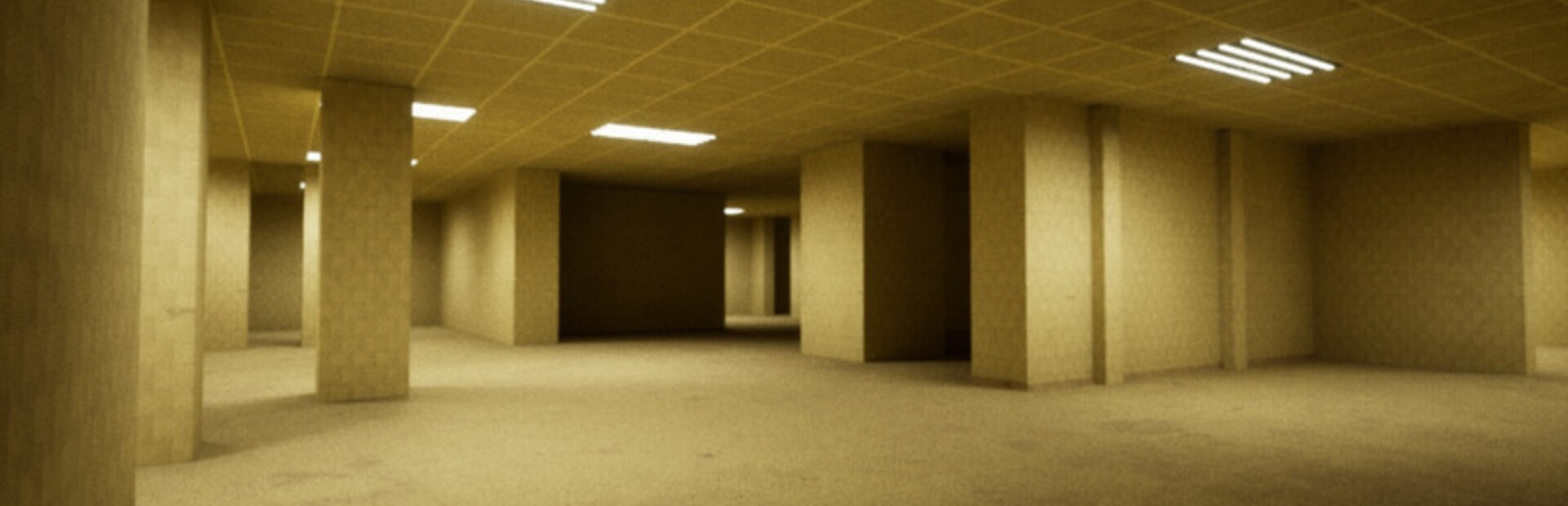 BACKROOMS PINTEROI