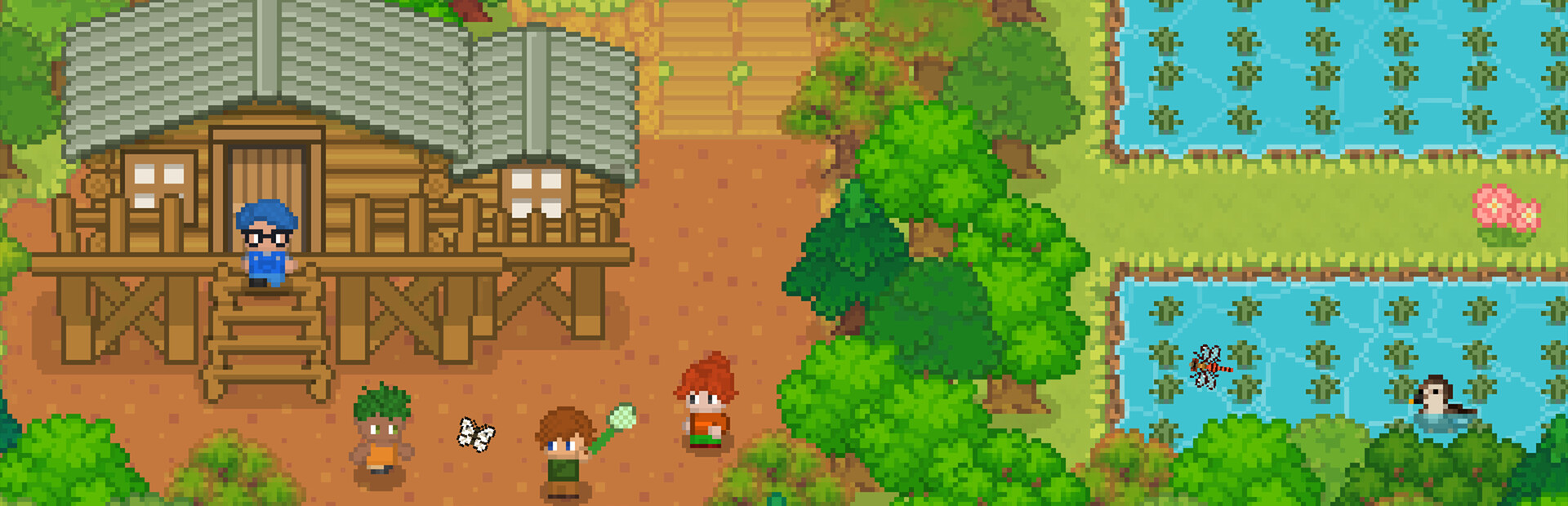 Peaceful Bug Catching Story