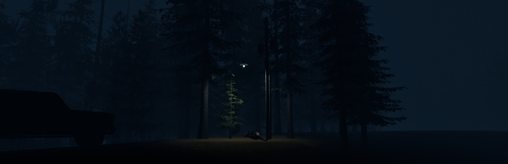 Stray Light