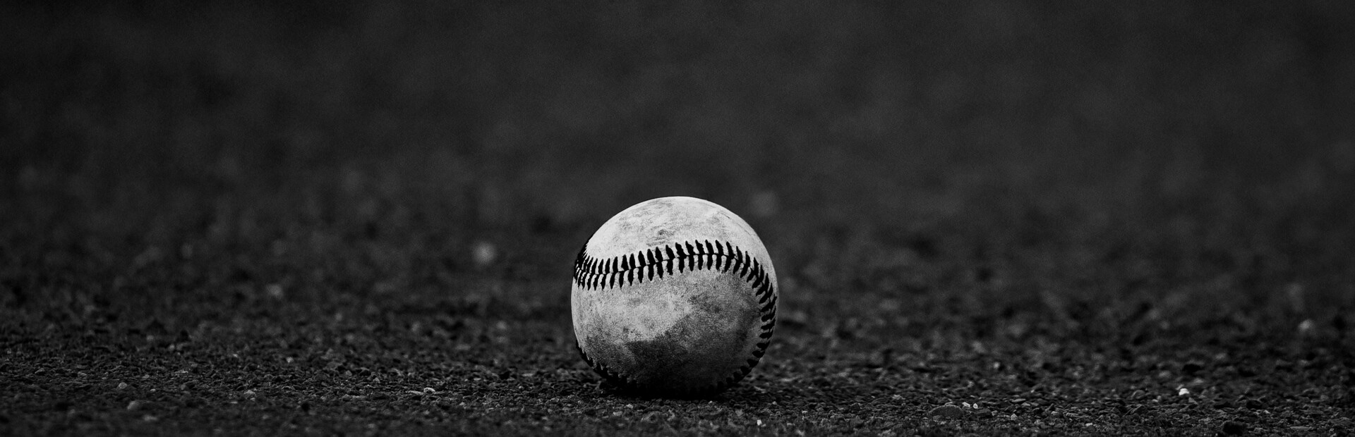 Pro Baseball: Franchise Builder