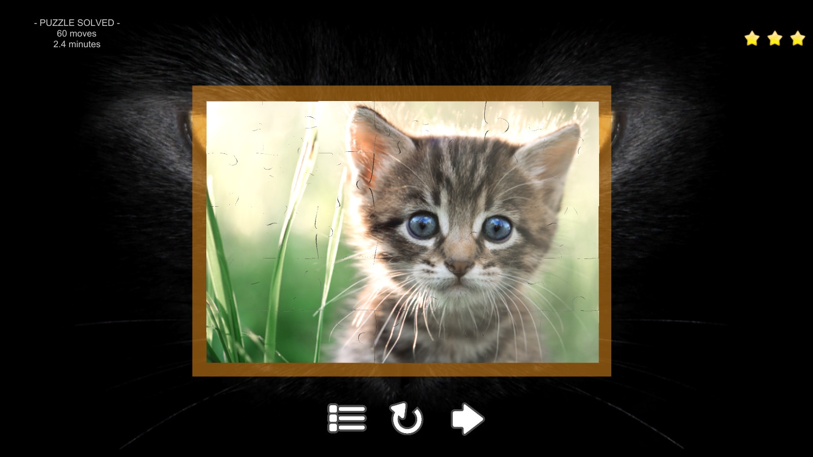 Kitty Cat: Jigsaw Puzzles screenshot 2