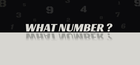 WHAT NUMBER?