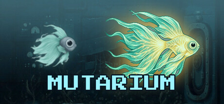 MUTARIUM — Steam header