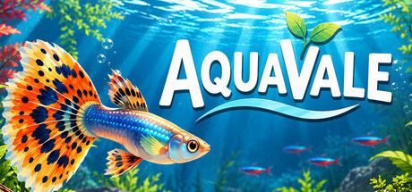Aquavale — Steam header