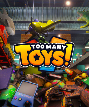 Too Many Toys!