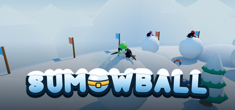 SUMOWBALL — Steam header