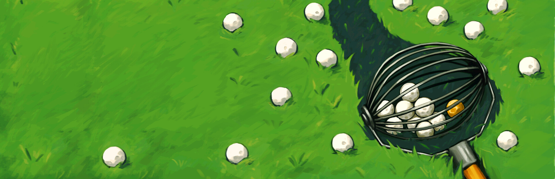 BALL PICKER - Clean Up the Golf Yard