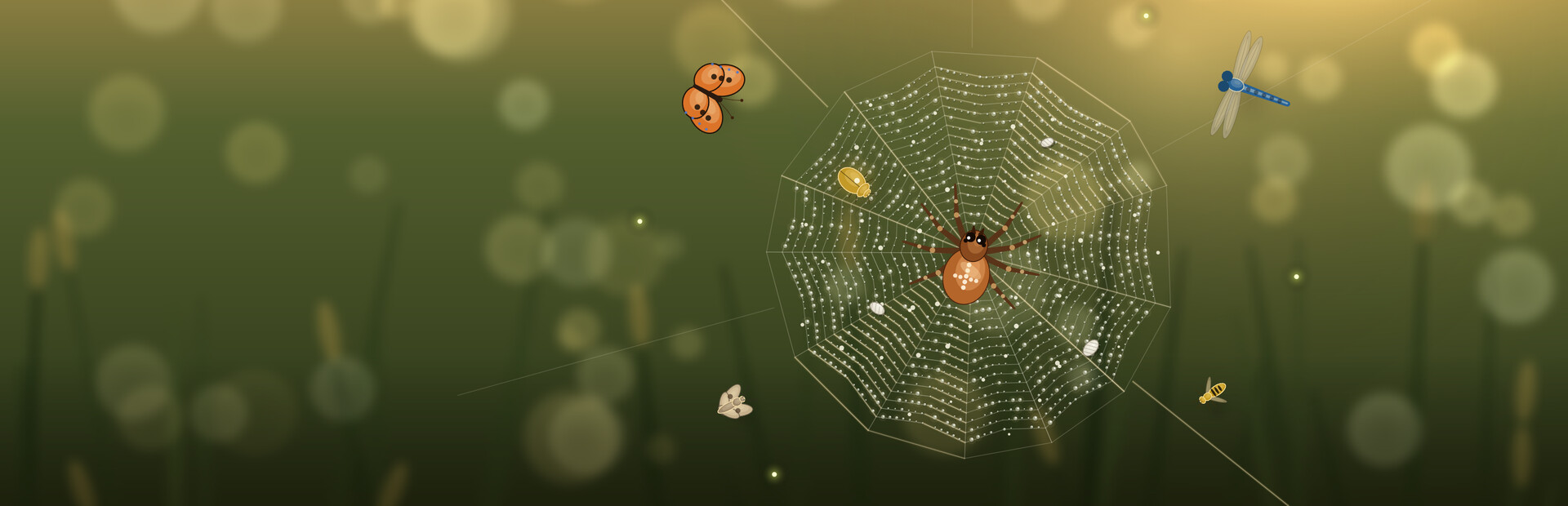 Silk Feast