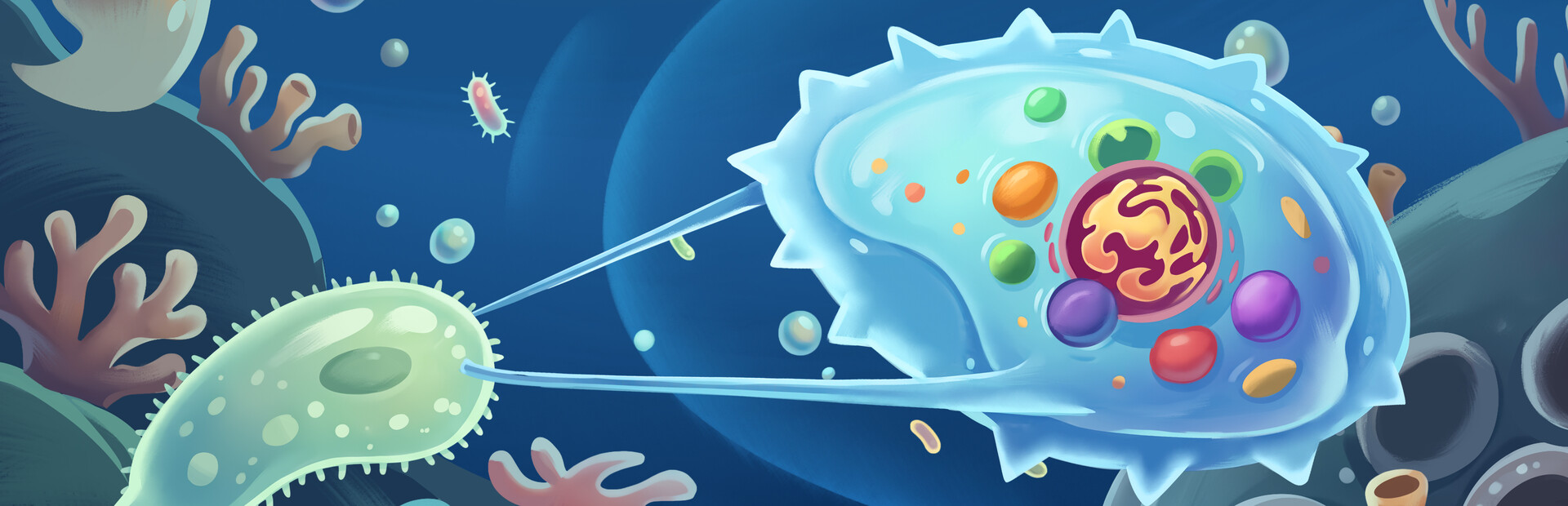 Salty: Evolution Simulator