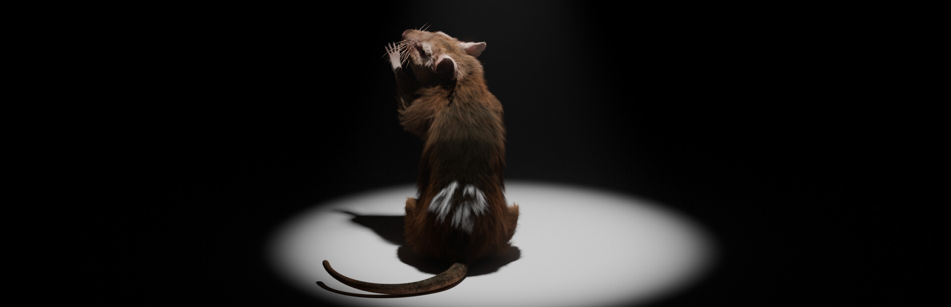 I Keep Reincarnating as a Rat in the Mad Scientist’s Maze