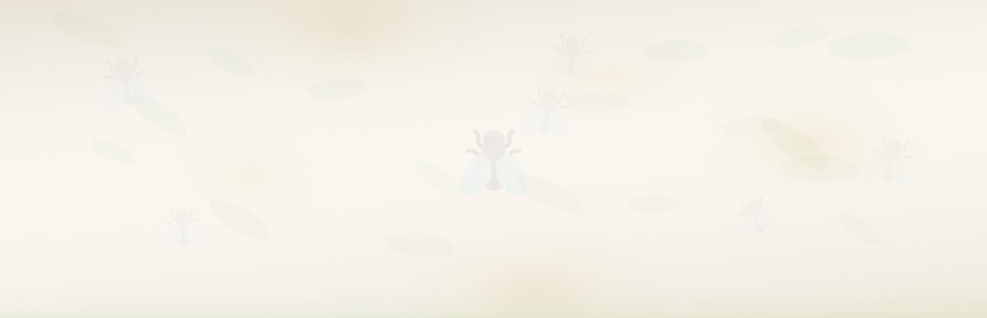 Summer of Singing Insects